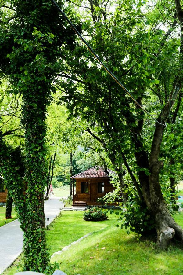 Royal Palace Hotel, Lagodekhi Buitenkant foto